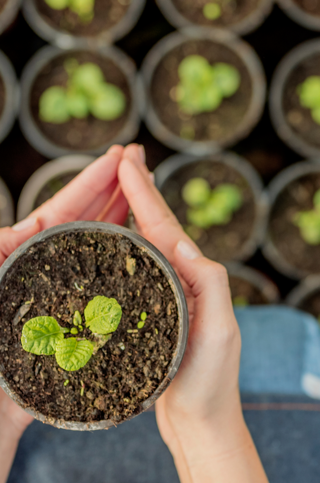 모바일 배경 이미지
